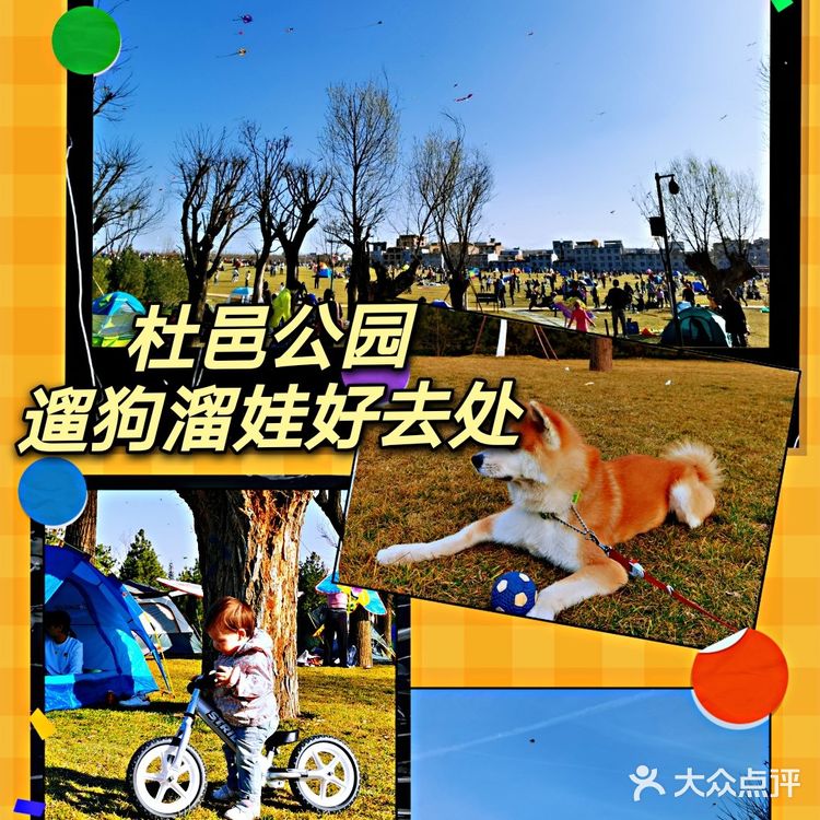 曲江休闲攻略！遛狗溜娃这里很行！不要钱