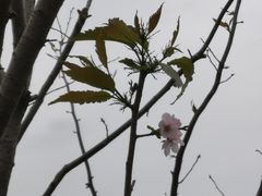-上海山野camping·户外天幕烧烤·团建拓展营地