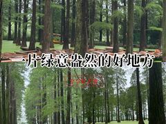 -渌洋湖湿地公园