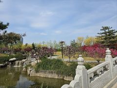 -西海子公园