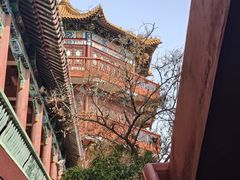 -中国翰园碑林