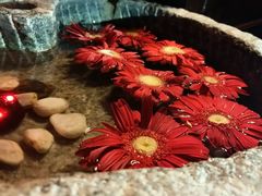 -锦堂中餐厅
