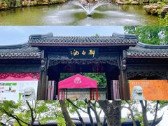 -上海醉白池公园