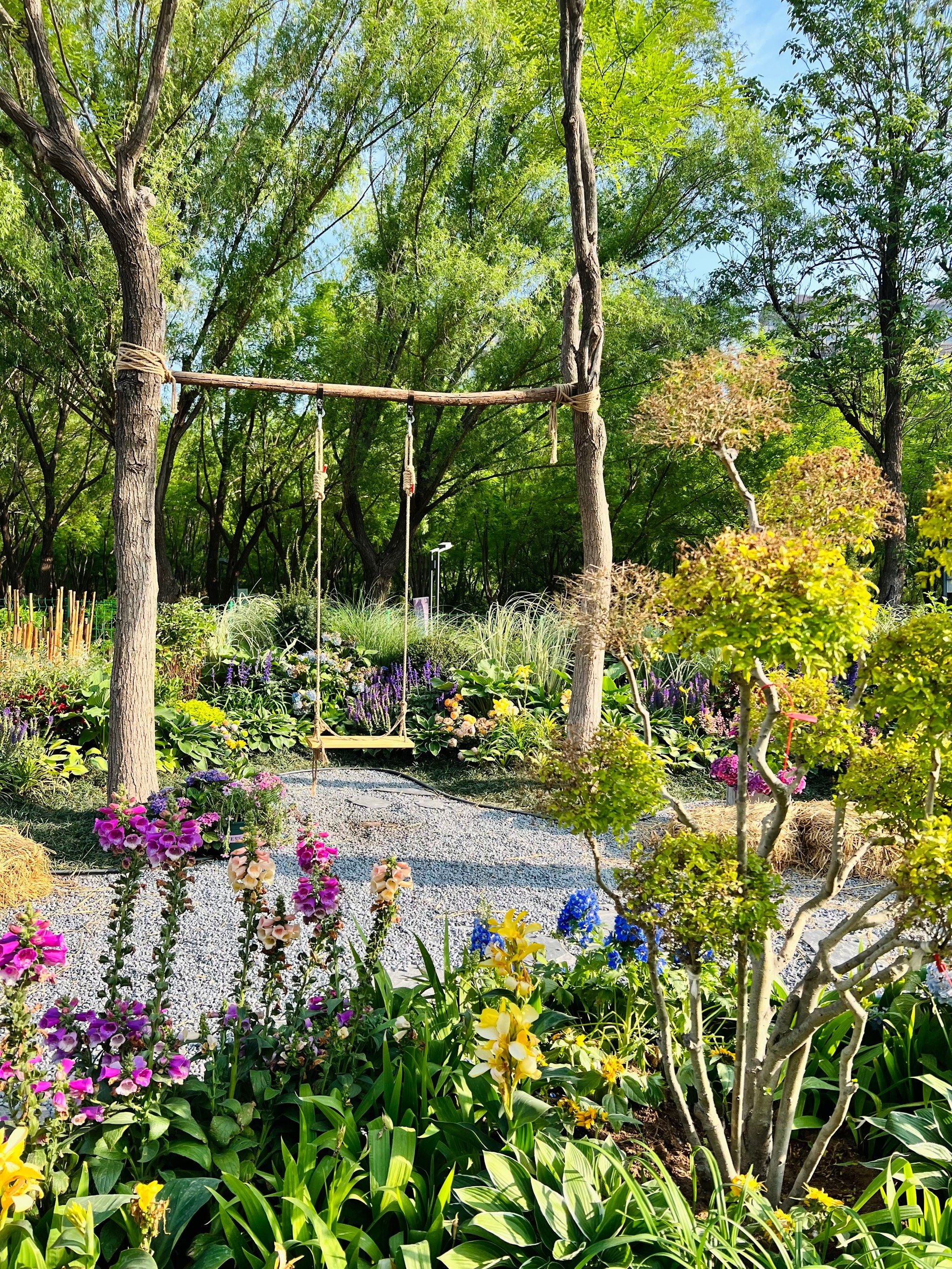 森林公园新布景观