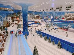 -长沙湘江冰雪世界