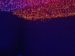 -不可思议减压馆·解压博物馆·摔碗发泄·团建定制
