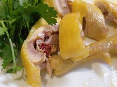 -黄B湛江鸡饭店(粤垦路店)