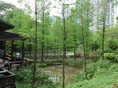 景点-广州珠江公园