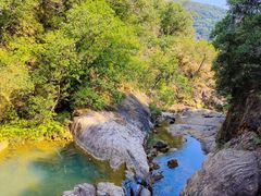 -广州白江湖森林公园