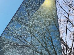 -龙美术馆西岸馆-停车场