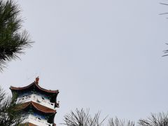 -北京十三陵国家森林公园蟒山景区