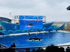 -上海海昌海洋公园