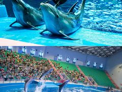 -福州罗源湾海洋世界旅游区