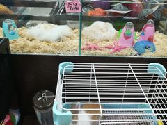-乐宠宠物店(世纪金源店)