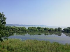 -上海市保健医疗中心(华东疗养院)