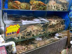 水产区-蚝专家(北滘店)
