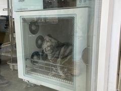 -宠颐生动物医院·心脏科·保险定点(锦阳分院)