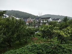 -缥缈峰景区