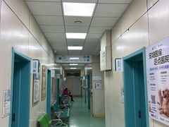 -北京观赏动物医院·24小时大型综合·猫专科·异宠专科