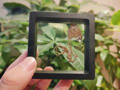 -会麦二手奢侈品回收寄卖