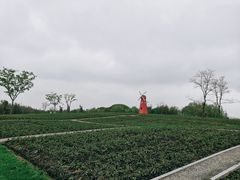 -同里国家湿地公园