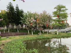 -映月湖公园