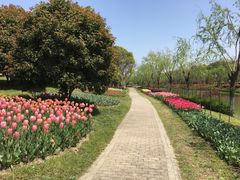 -上海鲜花港