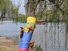 -凤城河风景区