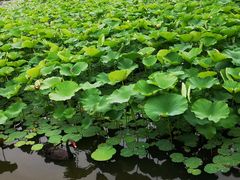 -长春世界雕塑园冰雪艺术天地