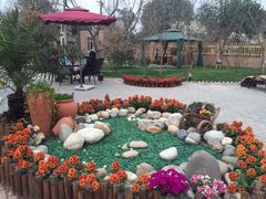 -森居forest休闲咖啡聚集地