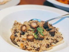 -新元素(三里屯太古里南区)