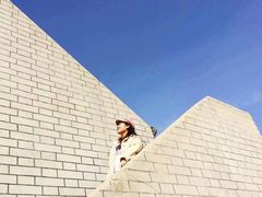 -金塔沙漠胡杨林景区