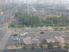 -万达茂商场(南京仙林店)