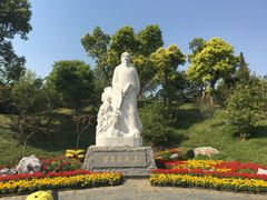 -水绘园