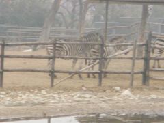 景点-西安秦岭野生动物园