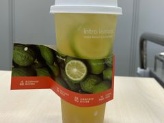 -introlemons(西单更新场·北京首店)