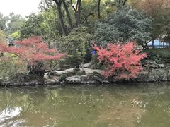 -汇龙潭