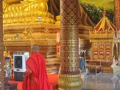 -西双版纳勐泐文化旅游区