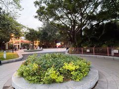 -荔湾湖公园