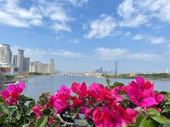 -厦门园林博览苑