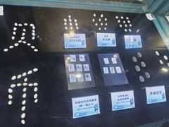 -贝壳梦幻世界
