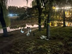 -望湖公园