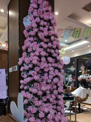 -木北护肤造型