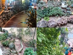 -正佳雨林生态植物园