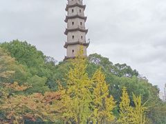 -江心屿景区