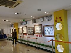 -上海昆虫博物馆