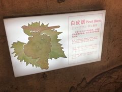 -青岛葡萄酒博物馆