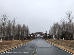 -黄海国家森林公园