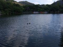 -白马涧龙池景区