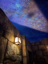 -翱翔飞越地平线